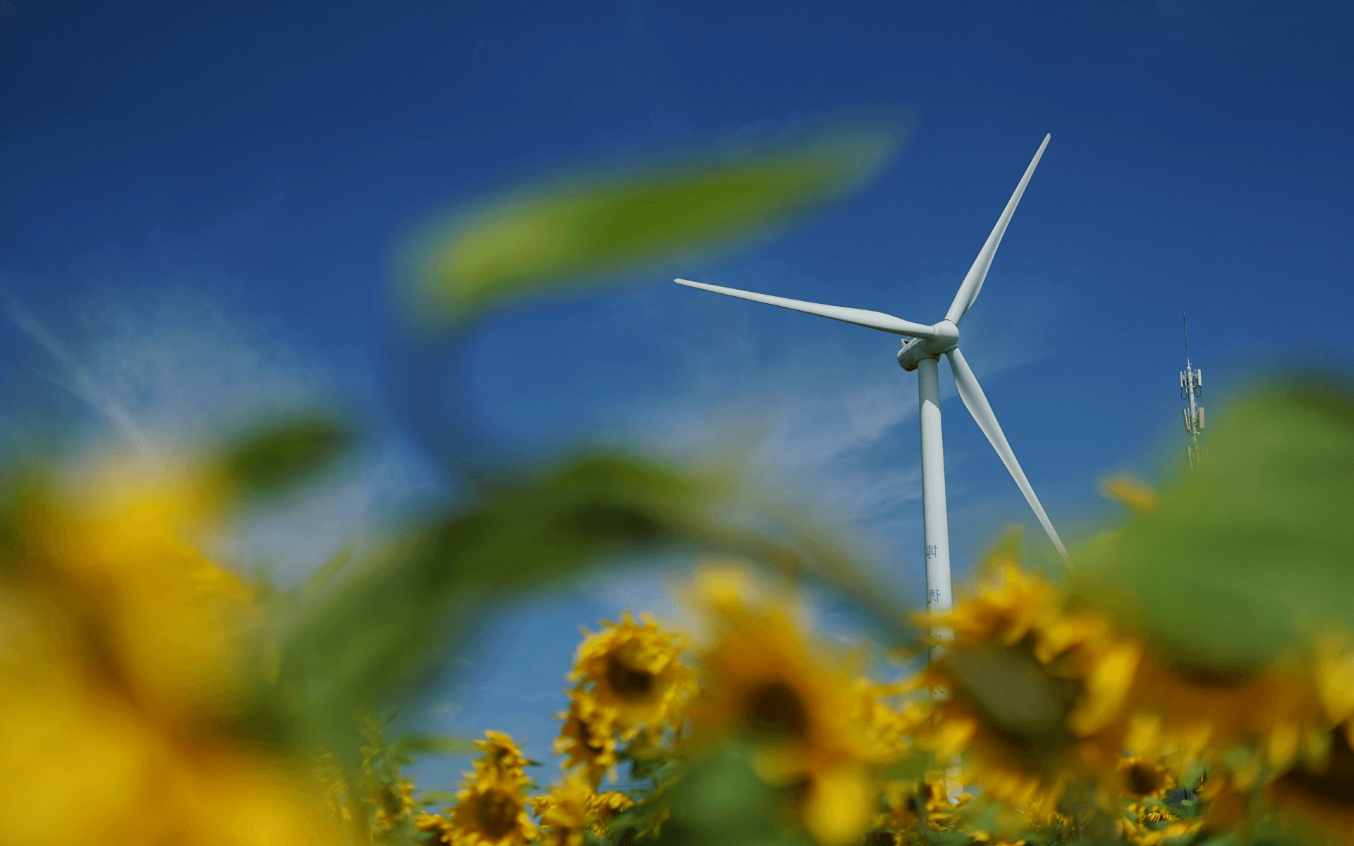 eneo - Projektentwicklung